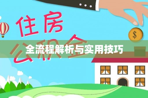 山西全流程解析与实用技巧