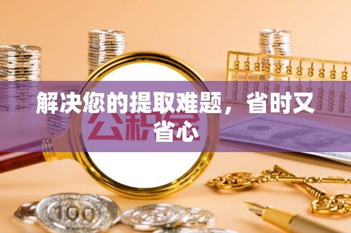 山西解决您的提取难题，省时又省心