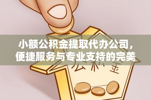 山西小额公积金提取代办公司，便捷服务与专业支持的完美结合