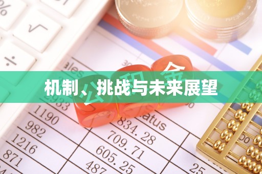 山西机制、挑战与未来展望