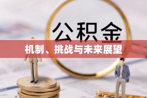山西机制、挑战与未来展望